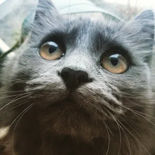 Погляд
