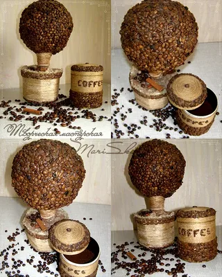Coffee Tree Classic + Coffee saver