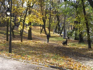 Відкрити фото