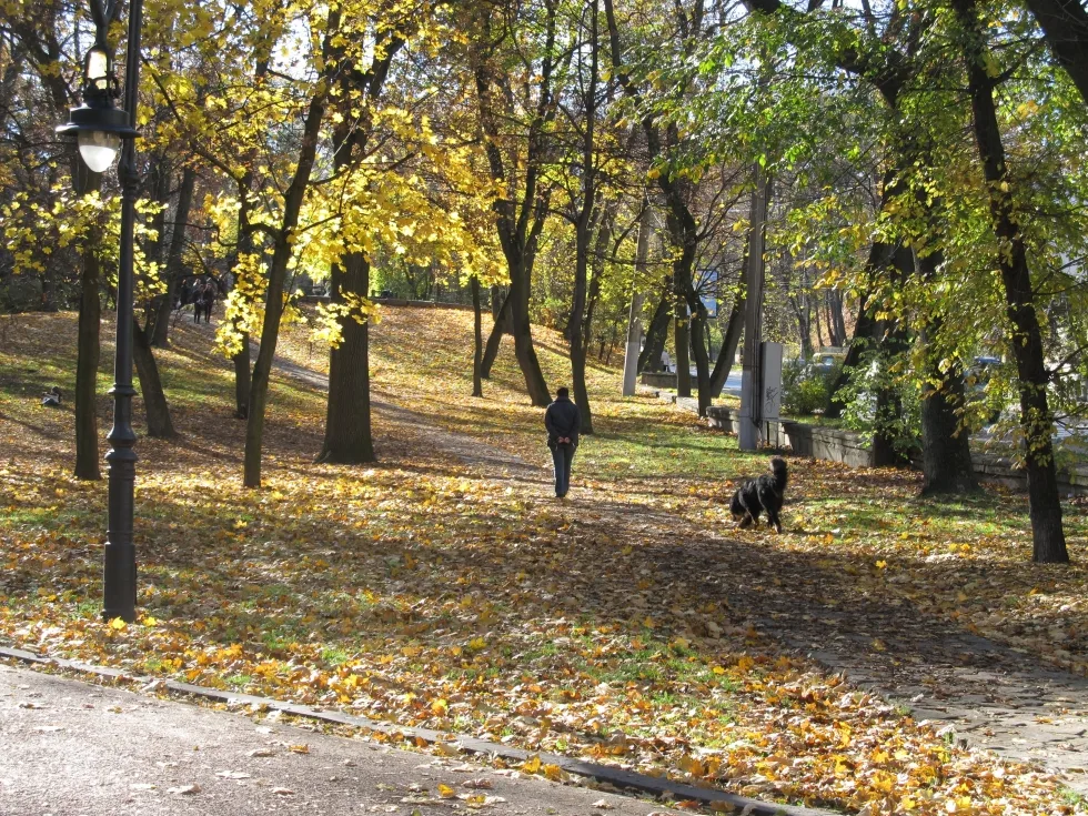 Фото 2 з 2