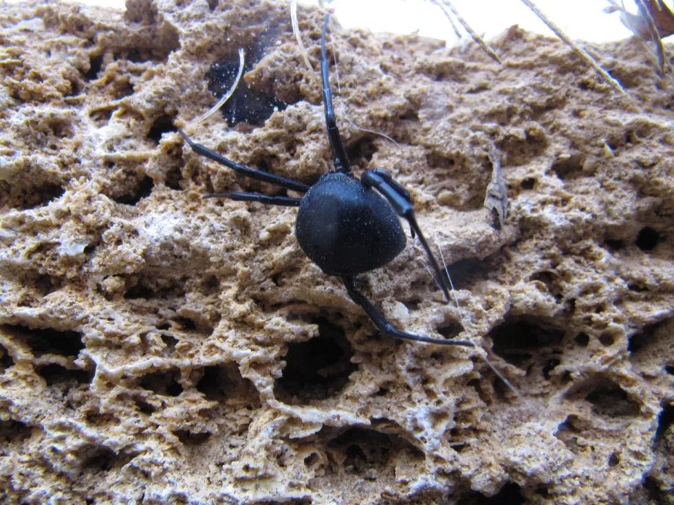 Фото 6 з 25