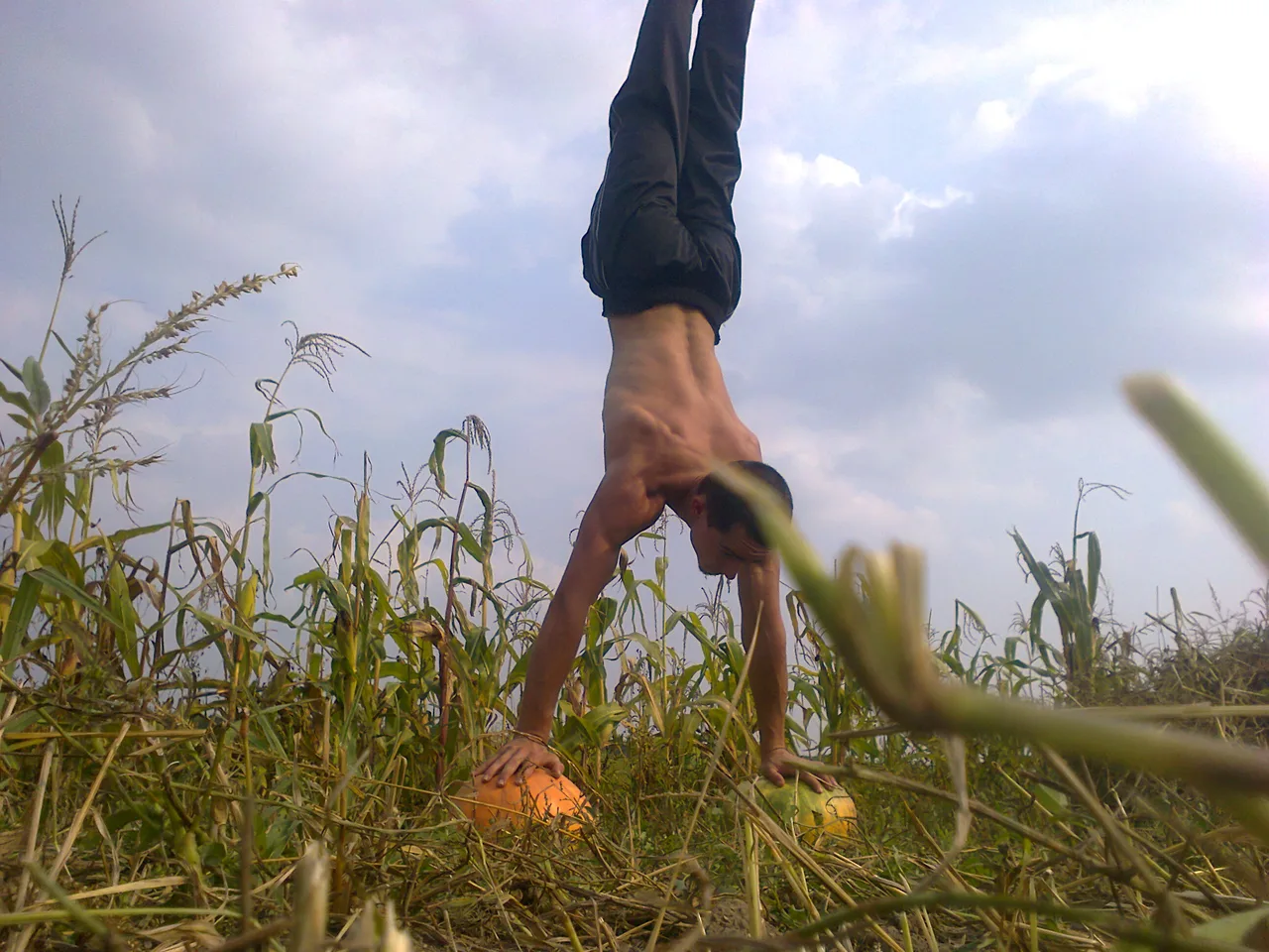 STREET WORKOUT