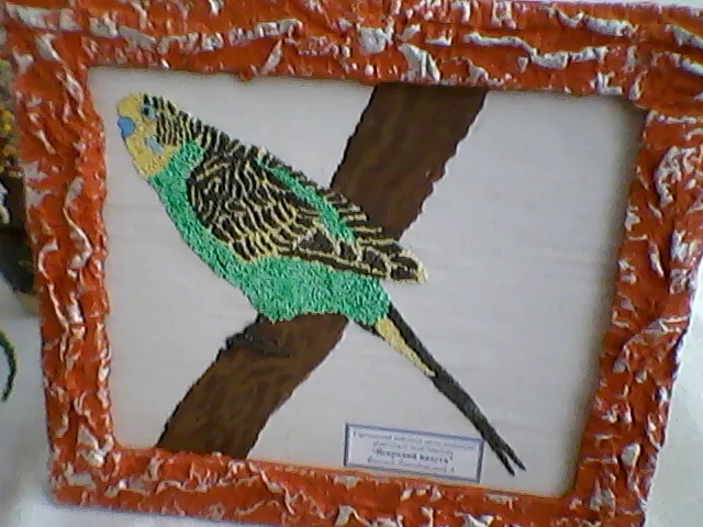 Zdjęcie 46 z 112