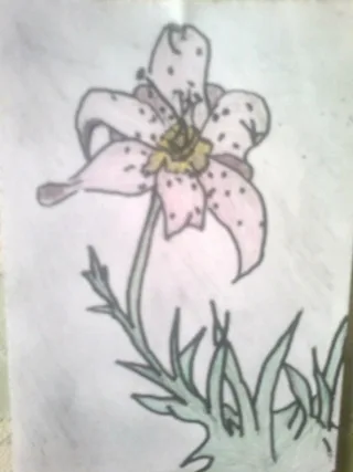 Dibujo