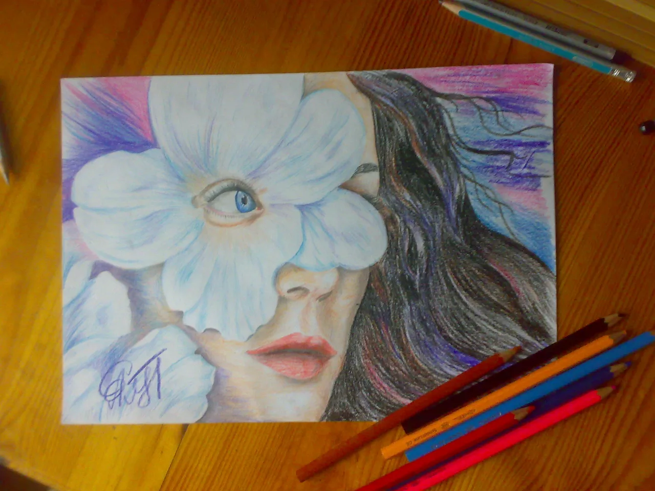 Zeichnung