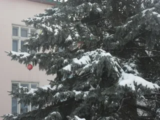 Самотність...