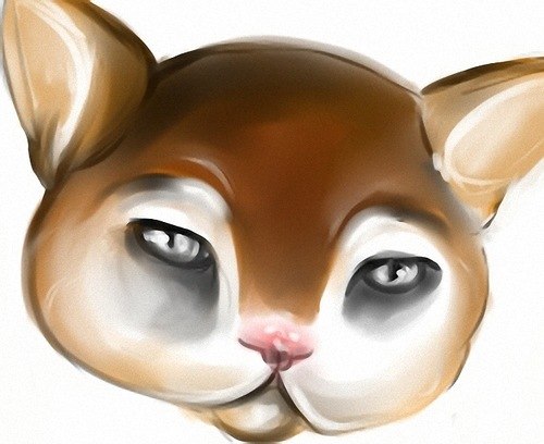 Кот