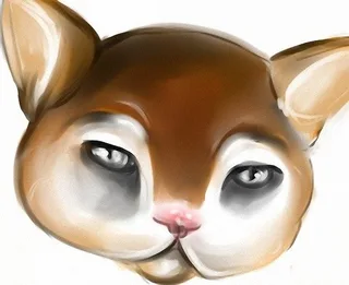 Кот