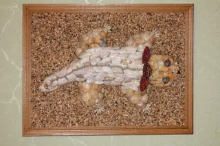 Дракончик