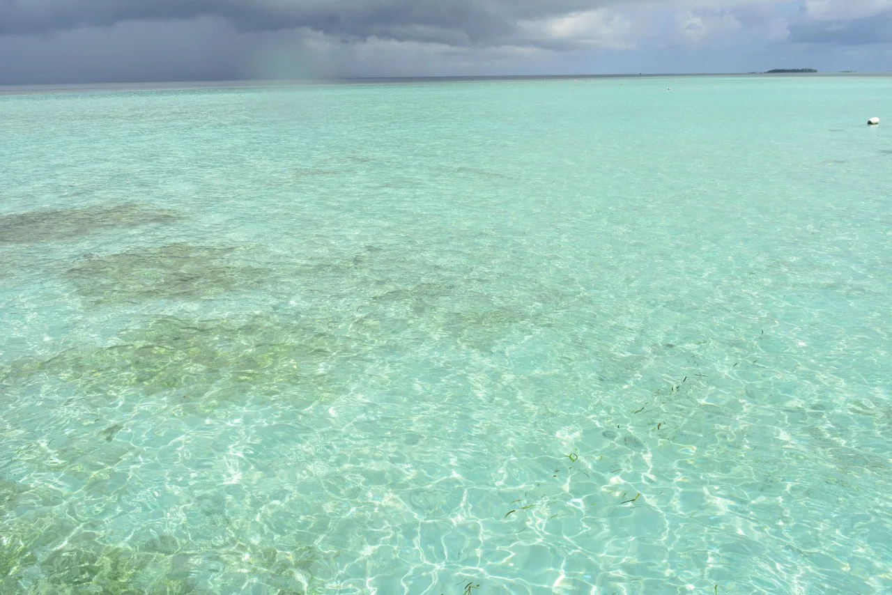 Вода