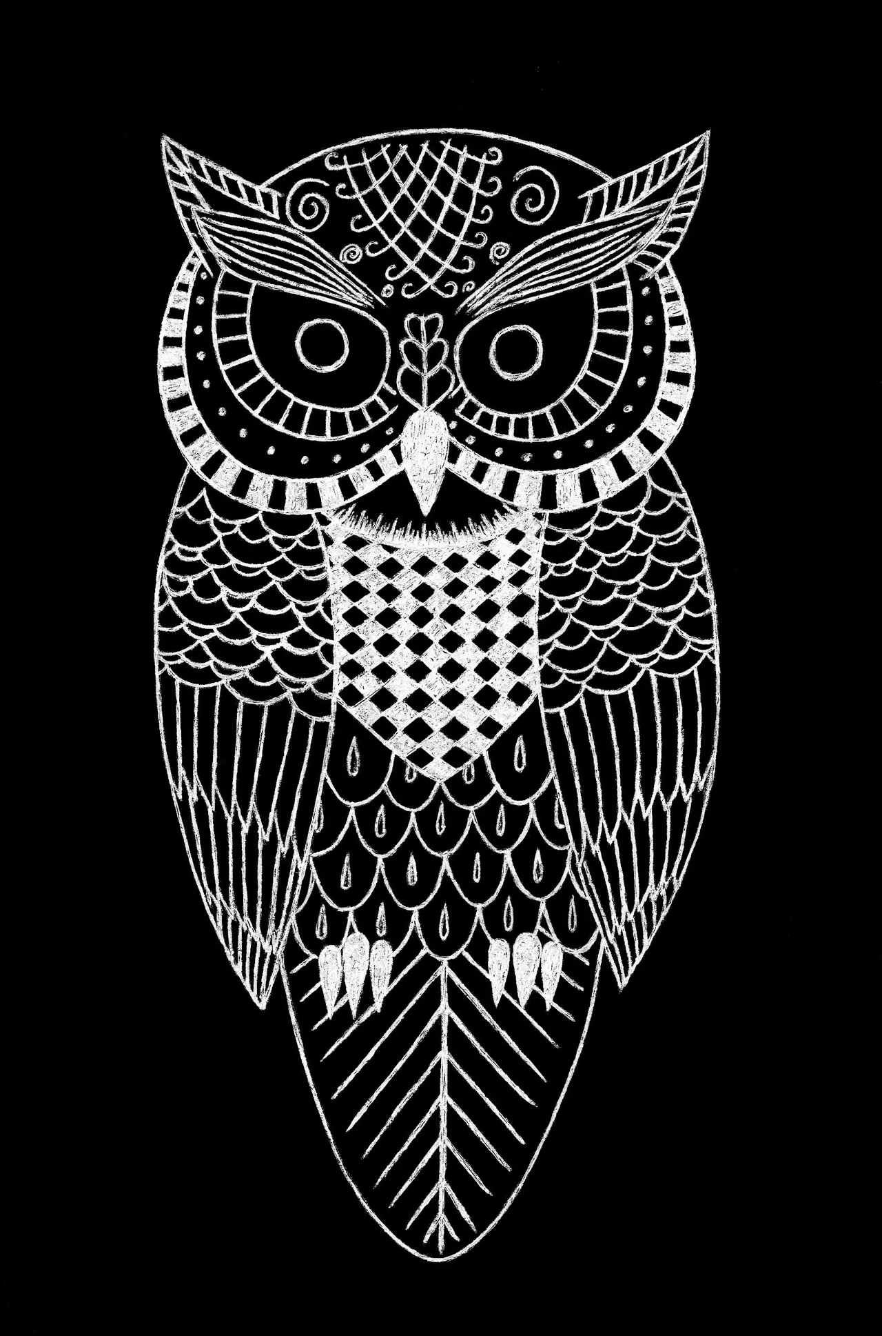 owl