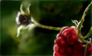 Computer grafica