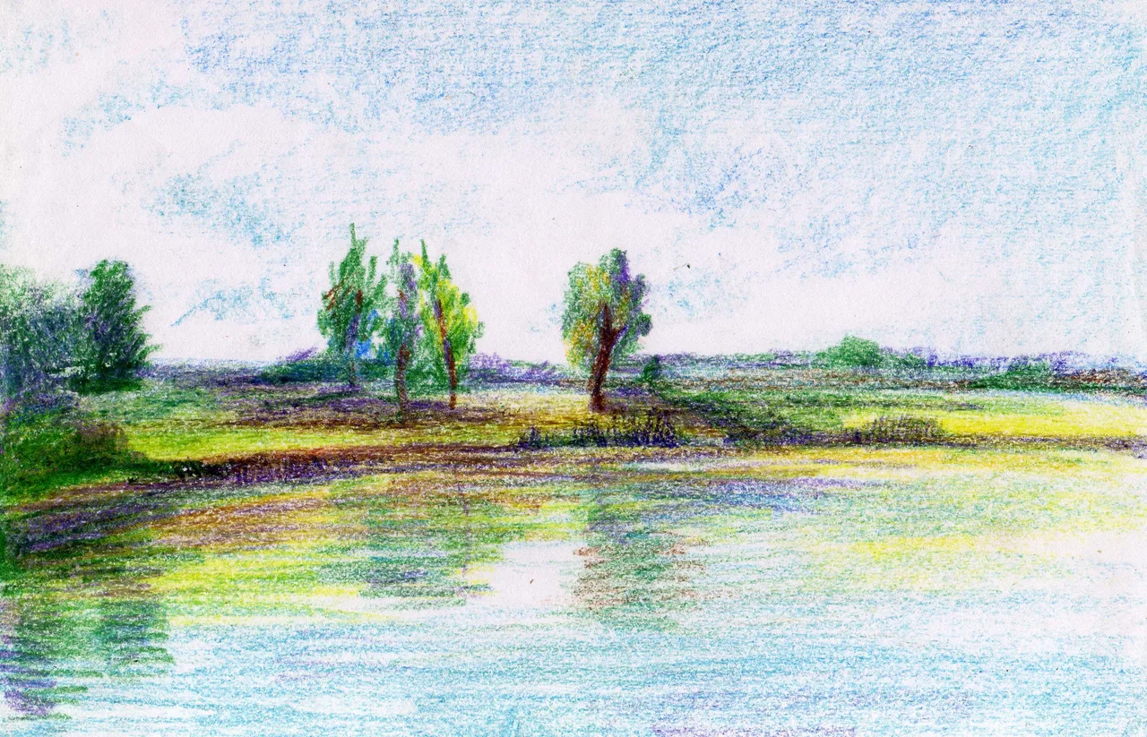 Disegno
