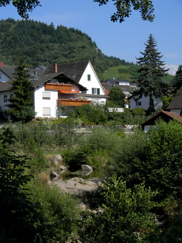 Schwarzwald ( чорні ліси в Німеччині )