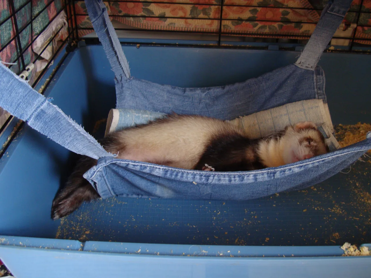 Наше счастьечко в гамачке.=)))