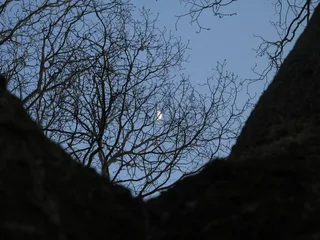 Місяць