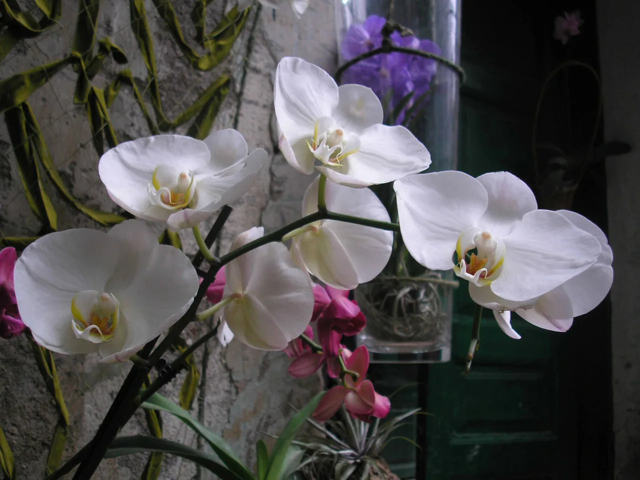 Secret Garden