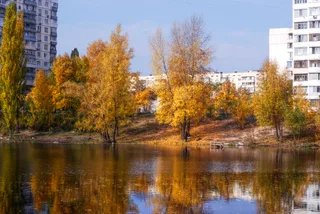 Зеркало
