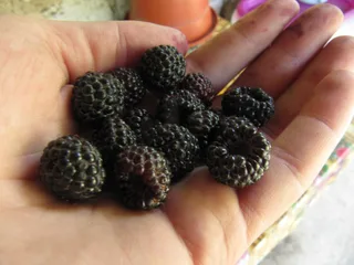 Англія