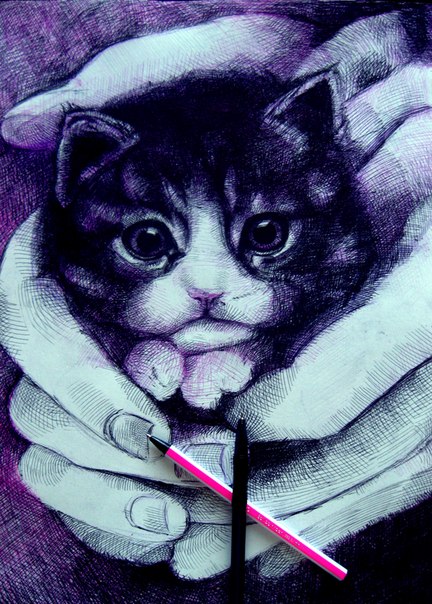 Disegno