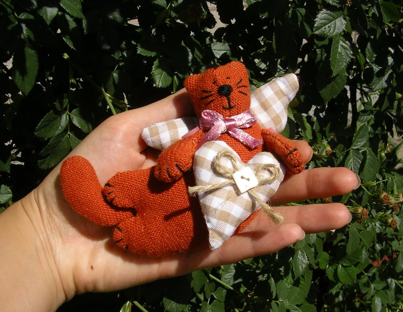 Літаючий котик