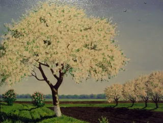 Disegno