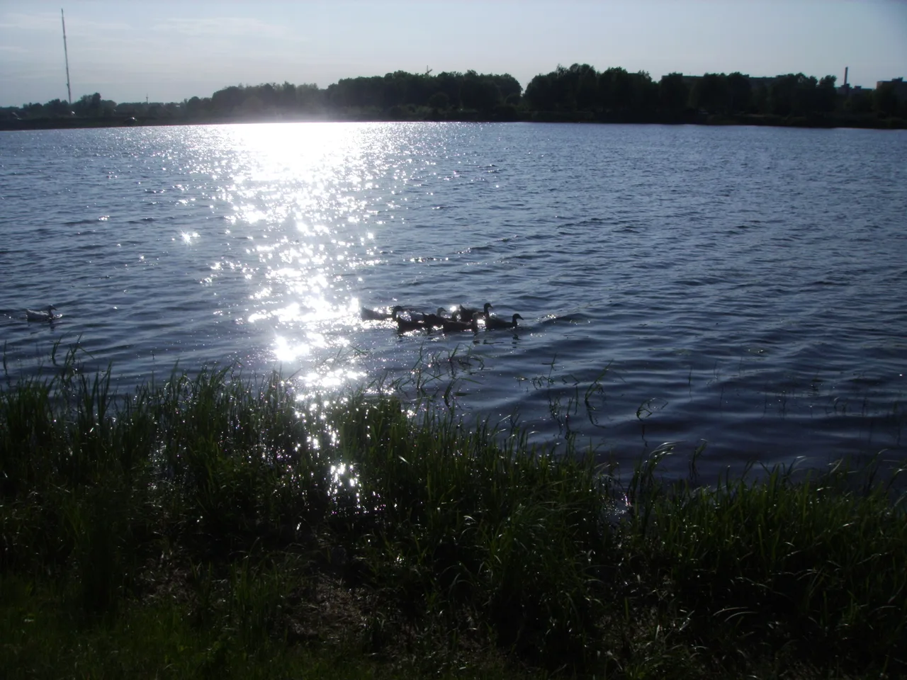 спокійні води Турії