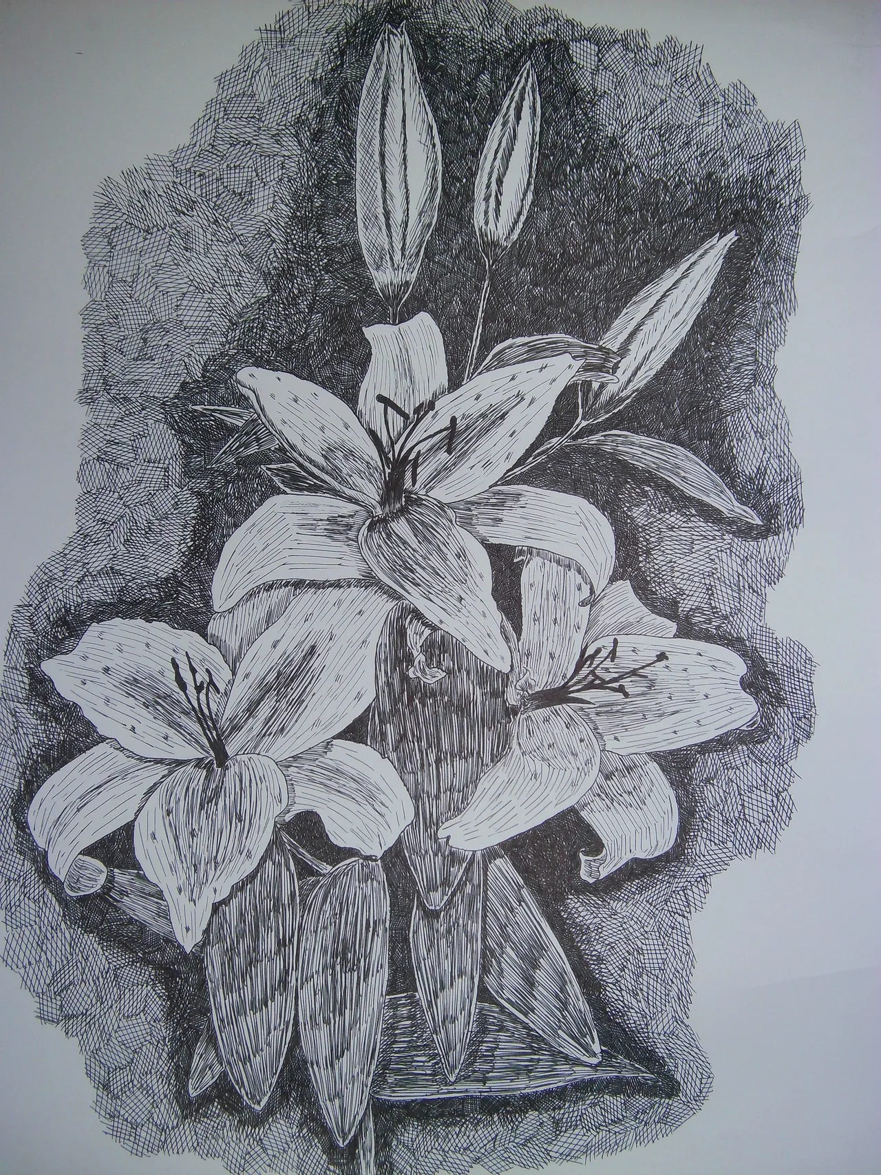 Drawing