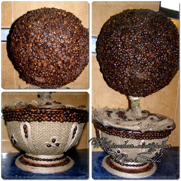 Сoffee Tree Mega