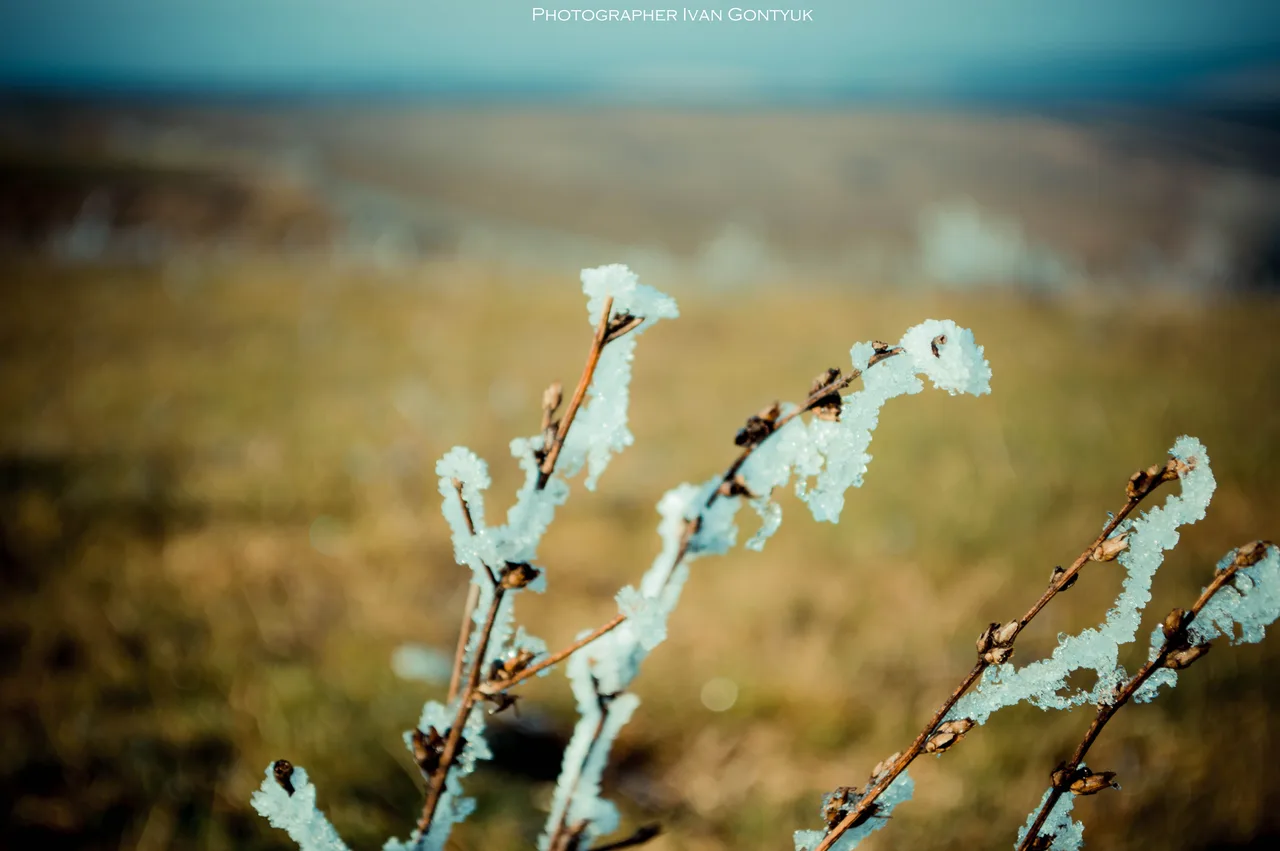 Іній