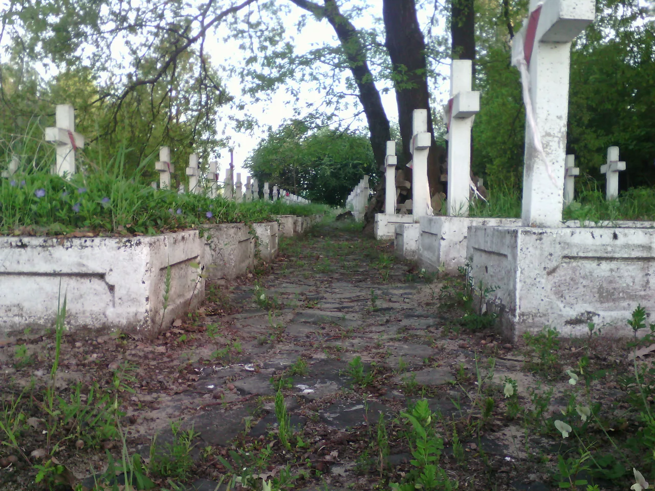 Польське кладовище у Ковелі