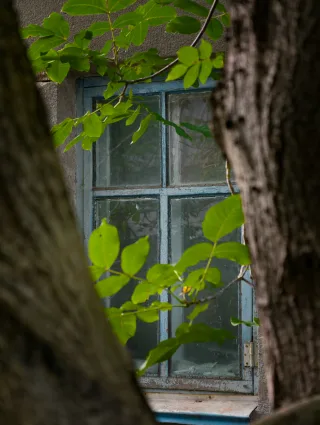Нехитра замальовка