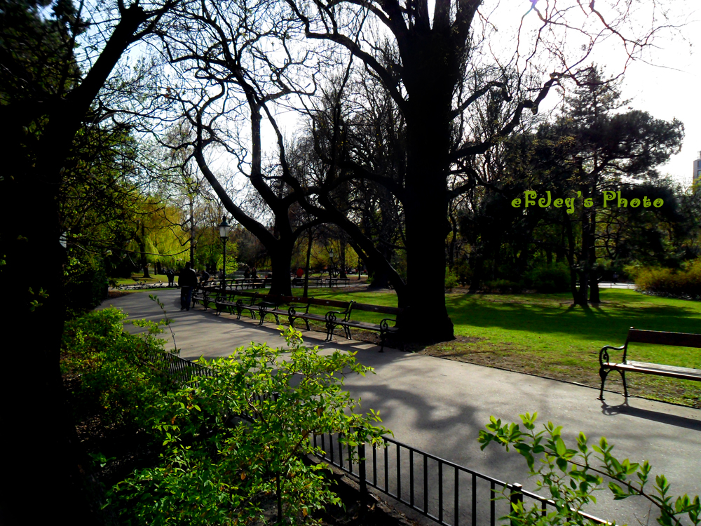 Stadtpark, Wien