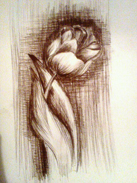 Disegno