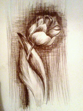 Disegno