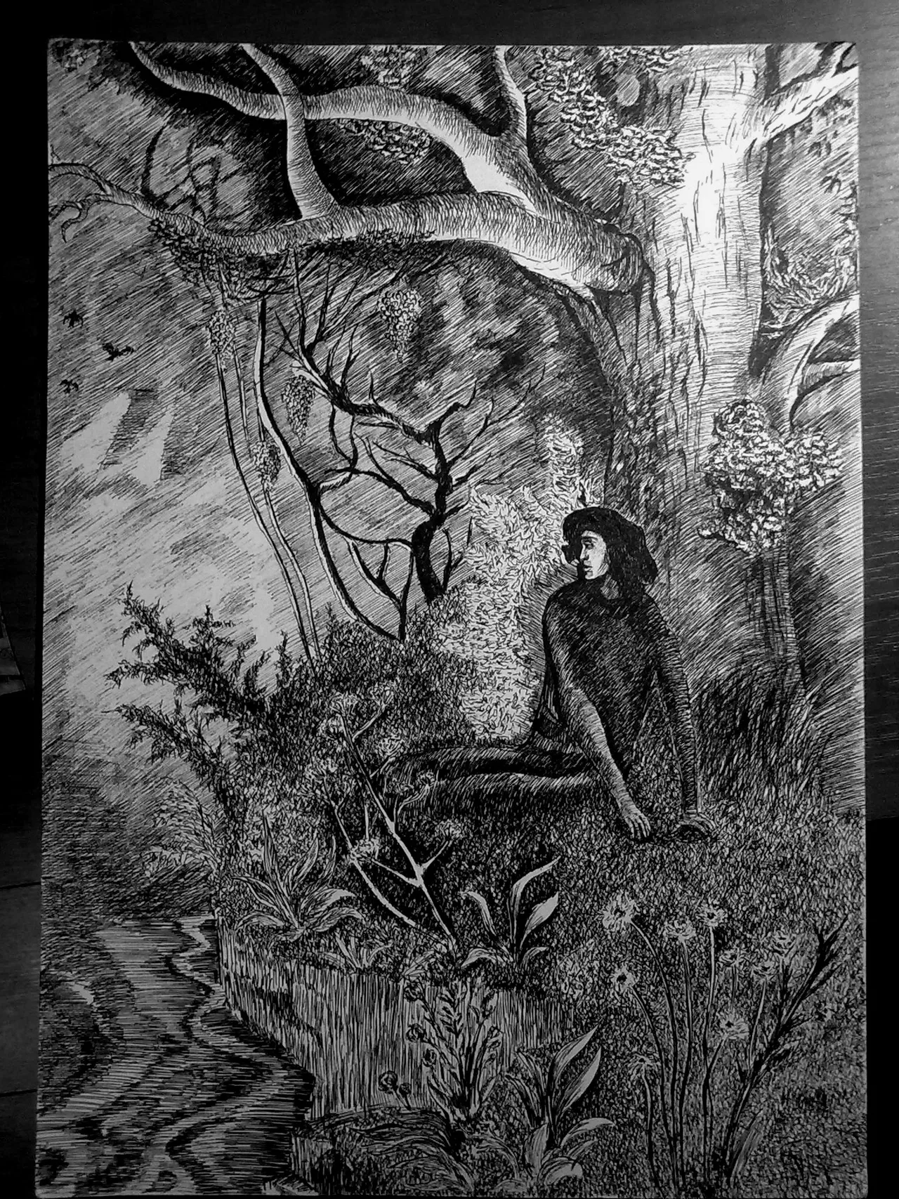 Disegno