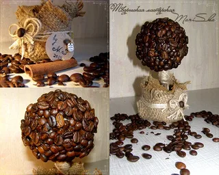 Coffee Tree Little
