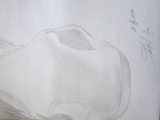 Кінь