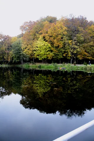осіній ліс