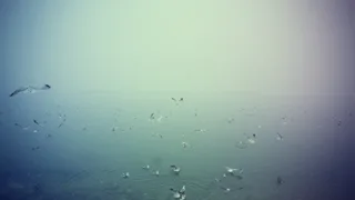 Azov sea