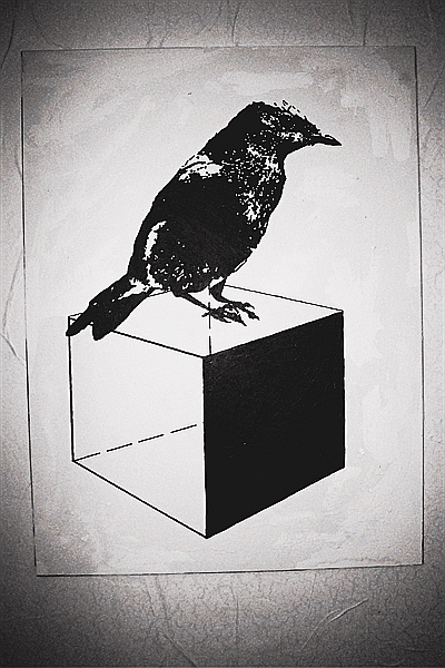 Drawing