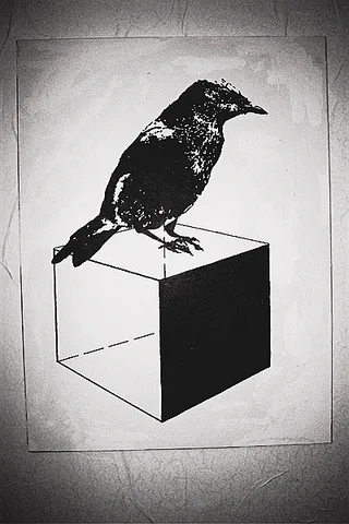 Drawing