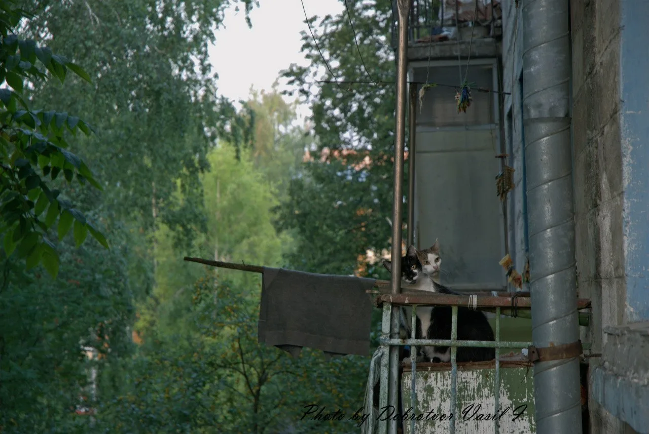 котЭ