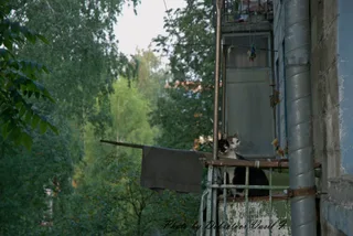 котЭ