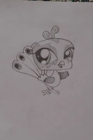 Disegno